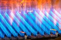 Otterhampton gas fired boilers
